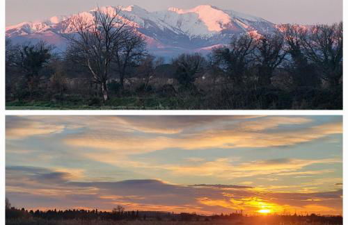 BAMBOU SERENITE ECO LOGIS -Piscine - Foto 39