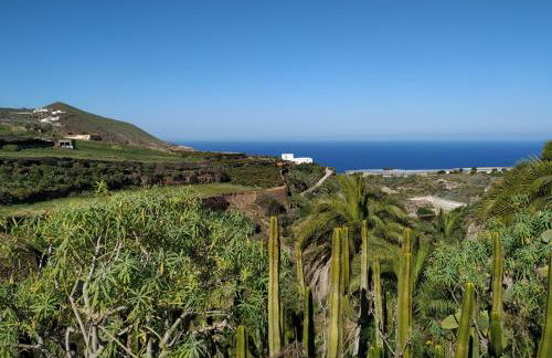 Villa Canaria piscina jacuzzi jardín - Foto 2
