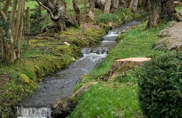 Willow View, Cartmel - Foto 6