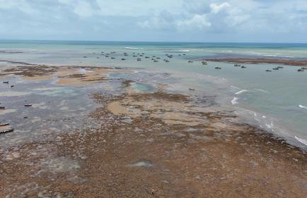 Pousada O Leão - Foto 46