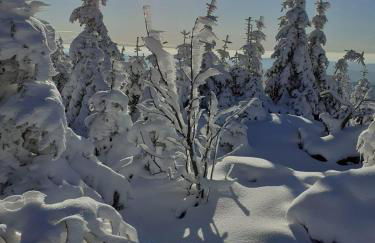 Ferienwohnung im Haus Christine - Foto 12