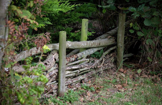 Bungalow in Nes on Ameland With Spacious Terrace - Foto 17