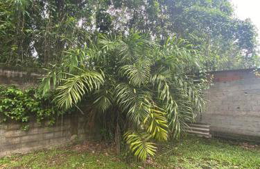 Chácara Gomes - Caiubura - Bertioga - Foto 78