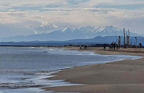 T2 cosy à la plage, terrasse vue sur mer et parking privatif - Photo 19