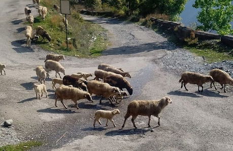 Fresh View Homestay - Foto 19