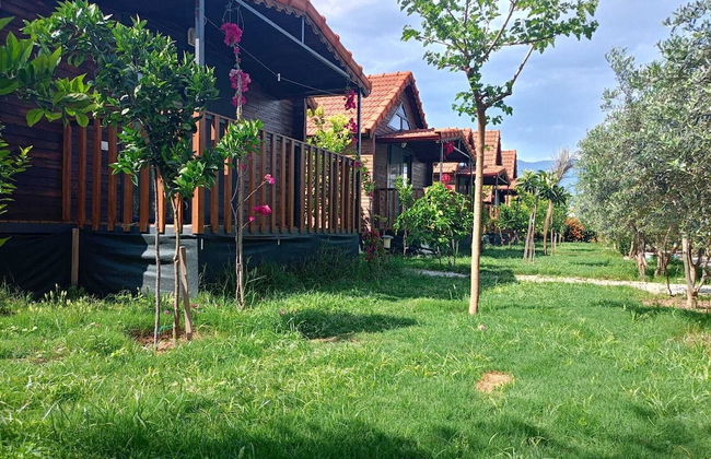 Riviera Bungalow Evleri Demre - Photo 44