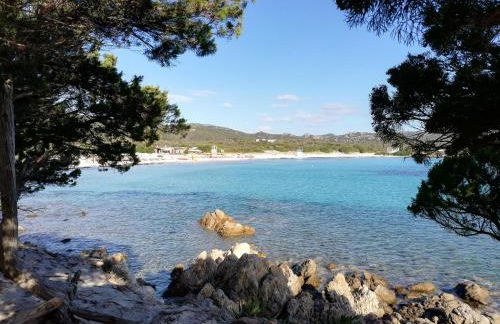 La Sima villa con piscina vista mare San Pantaleo Sardegna - Foto 15