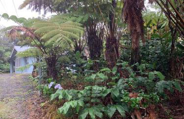 Romantic Retreat, Relax at Hot-tub, Indoor & Outdoor shower, firepit, 5 min to Hawaii Volcano park - Foto 19