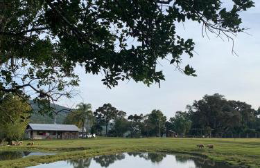 Quinta da Boa Vista São Chico - Foto 73