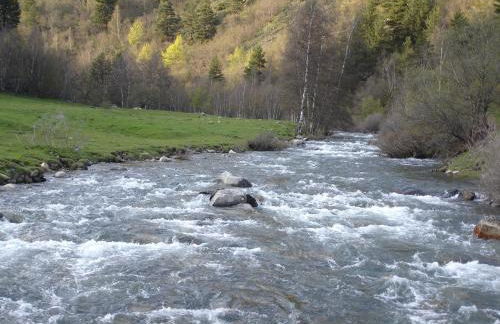 Apartamentos wifi Baqueira & Aigüestortes con jardín privado - Photo 43