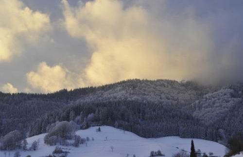 Flucht in Malsburg-Marzell - Foto 33