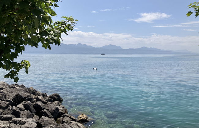 Petit Nid de Pully - Foto 16