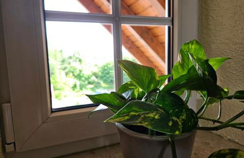 Service Appartement Weigl - Foto 17