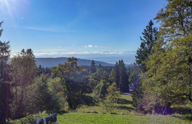 Chalet de la Vue des Alpes - Foto 30