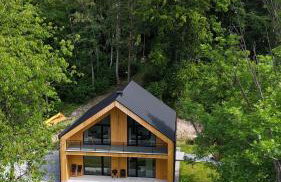 Forest Inn Berest - Foto 3