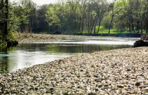 Caddo Cabin on Collier Creek - Foto 64
