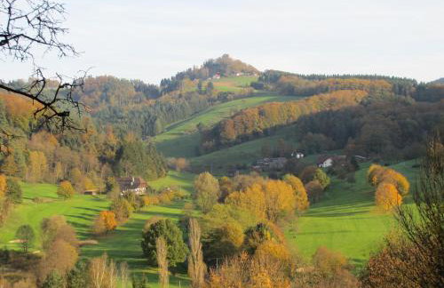 Alte Schmiede - Foto 19