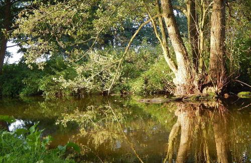 Kornspeicher Himmelpfort - Foto 29