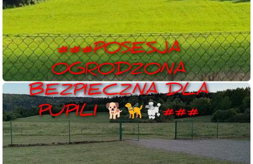 Waszczyszynówka Bieszczady - Foto 4