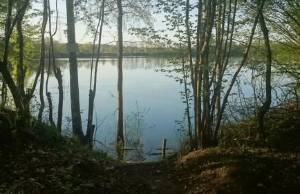 Apartment Laurence - Foto 18