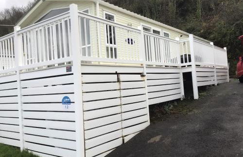 Newquay Haven caravan 42x14 with Ocean Views - Foto 54