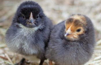 Schöne Wohnung 90qm mit Sonnenterrasse und Aussicht - Foto 22