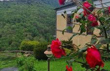 Apartamentos Rurales El Bosque de las Viñas - Photo 9