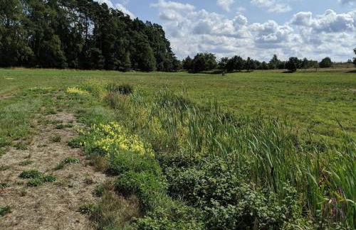 Ferienhaus im Van der Valk Resort in Linstow - Foto 22