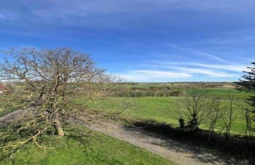 Chalet in Dabo near Castle Ruins - Photo 33