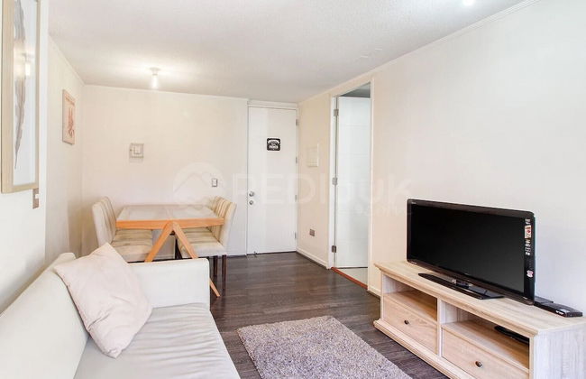 Precioso depto en Puerto Varas - Foto 12