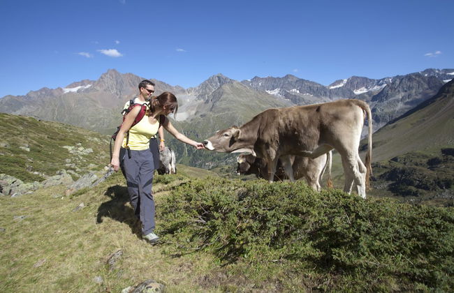 Apartment Naturnah - Photo 40