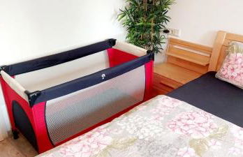 Dresden Großer Garten - Foto 33