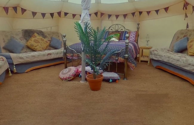 Glamping With Llamas - Foto 50