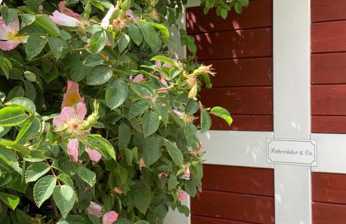 Landhaus Haack - Foto 9