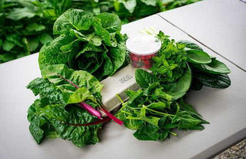 Historic Converted Barn Loft at Sobremesa Farm - Foto 26