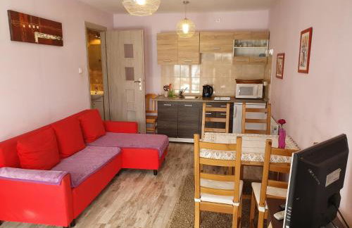 Apartamenty Dzika Orlica - Foto 69