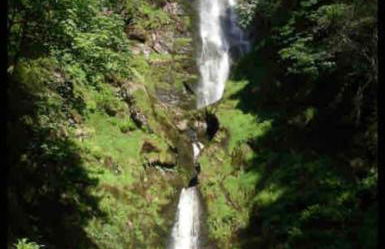 Maytree Cottage. Compact home in Mid Wales. - Foto 24