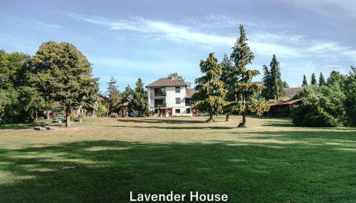 Lavender House - Foto 2, Garden, Garden view