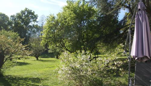Cottage gîte avec jacuzzi privé et jardin nature entre Blois et Amboise - Foto 3, Garden view