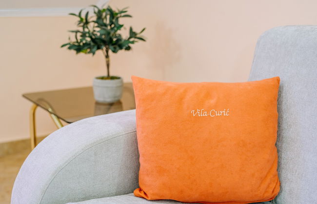 Vila Curic - Foto 54