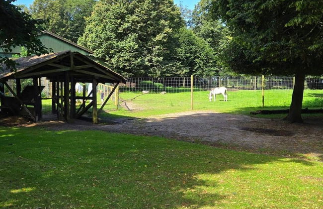 4 Person Holiday Home in Holbaek - Photo 22