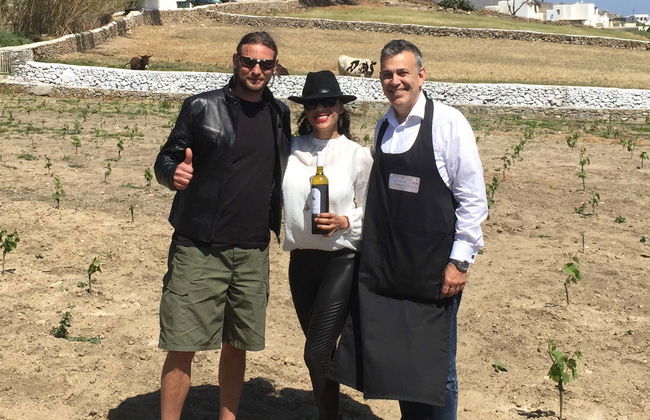 Cata de vinos en una granja de Mykonos - Foto 1