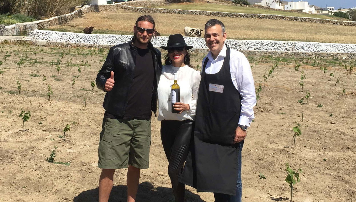 Degustação de vinhos em uma fazenda de Mykonos