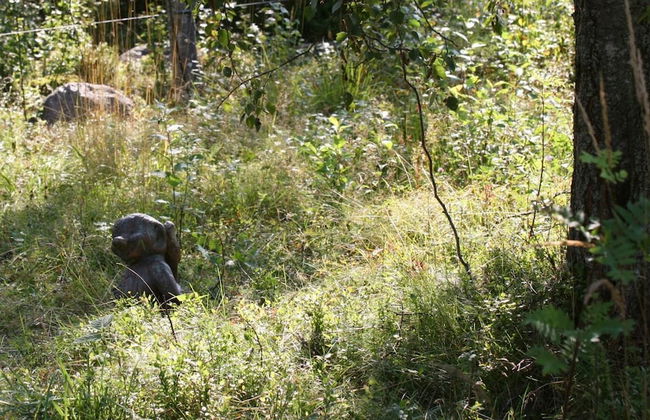 Grönelid Gård - Foto 30