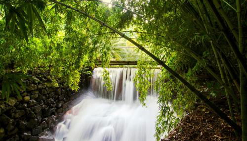 Quinta da Mó - Foto 5, Garden