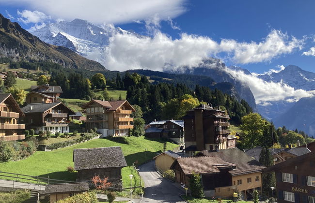 Schweizerhof Apt. S - Foto 27