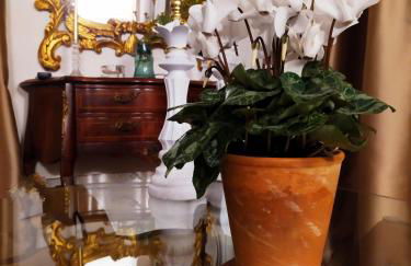 Διώροφο πέτρινο σπίτι με θέα Agiasos Classic Stone House - Foto 49