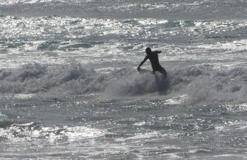 Casa Botanica - Foto 52