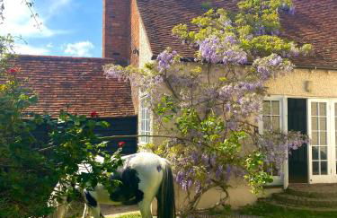 Grade II Listed Farmhouse, Pool, Hot Tub, Games Room, Celebration Hall, Car Park, 10ppl, 45 min from Central London - Foto 35