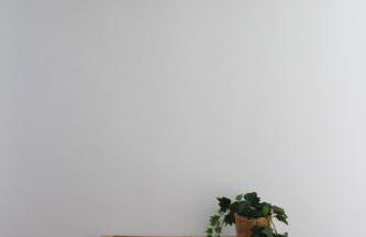 Beautiful brand new 2 bedroom flat with terrace - Foto 18